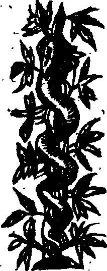 045/045650050100040_0.png