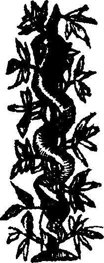 045/045650050200010_0.png