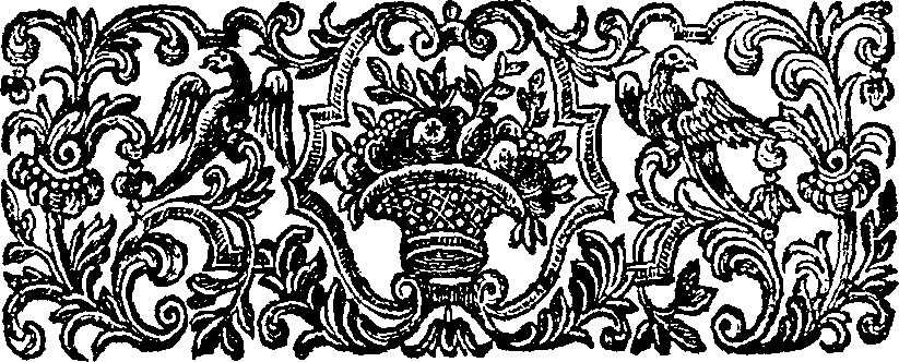 045/045850010202550_1.png