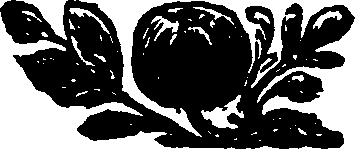045/045960030202870_0.png