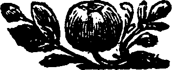 045/045960030202990_0.png