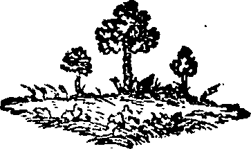 046/046000100000040_0.png