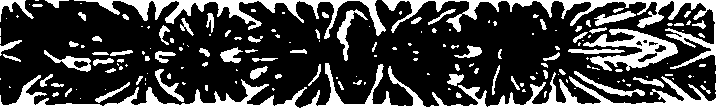 046/046250110001620_0.png