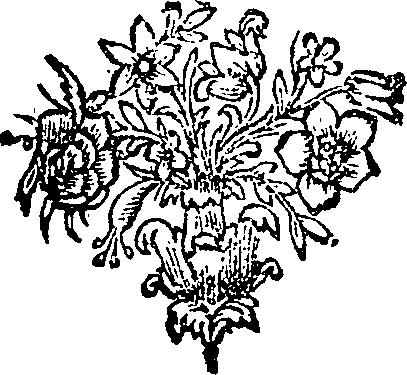 046/046260110003460_0.png
