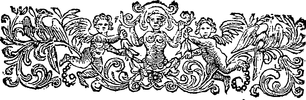 046/046400080000020_1.png