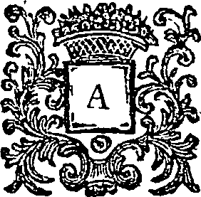046/046420060000020_0.png