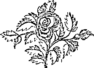 046/046480030000080_0.png