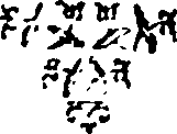 046/046510070101040_0.png