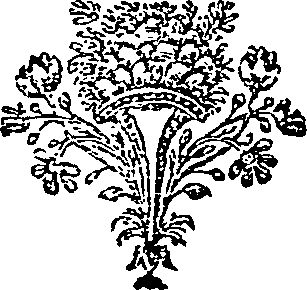 046/046540040201350_0.png