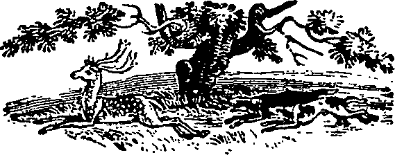 046/046550250000460_1.png