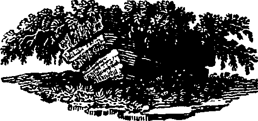 046/046550250000490_0.png