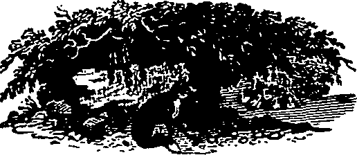 046/046550250000510_2.png