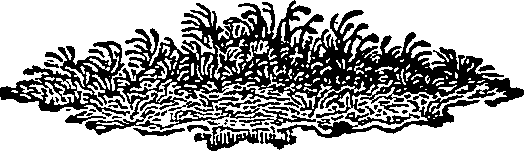 046/046550250000530_0.png