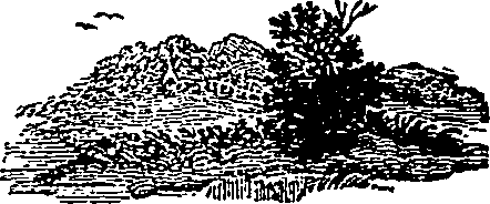 046/046550250000530_1.png