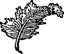 046/046550250000550_0.png