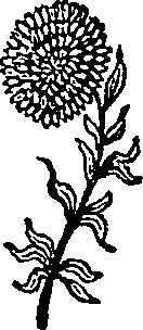 046/046550250000550_1.png