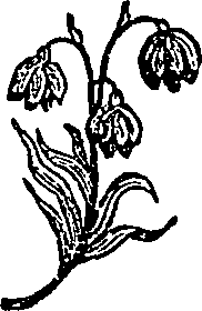 046/046550250000550_3.png