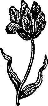 046/046550250000550_4.png