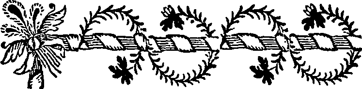 046/046550260000510_2.png
