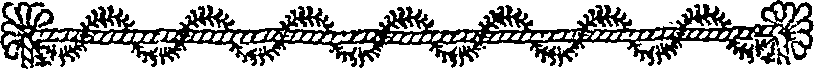 046/046550260000520_0.png
