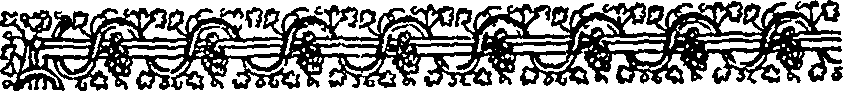 046/046550260000520_4.png