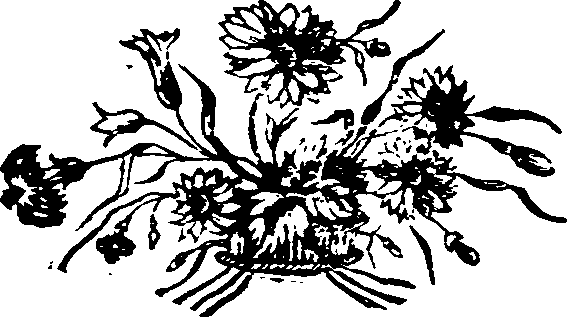 046/046790030100920_0.png