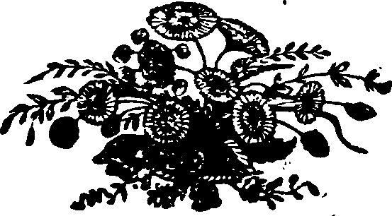 046/046790030200890_0.png