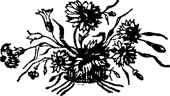 046/046790030202580_0.png