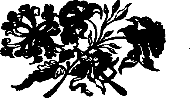 046/046790030202990_0.png