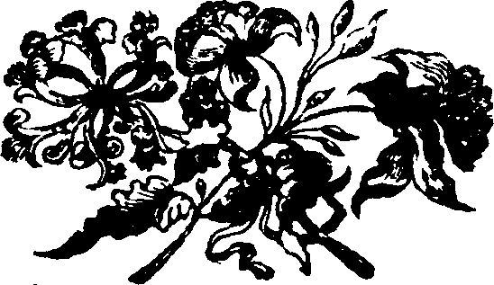 046/046790030203360_0.png