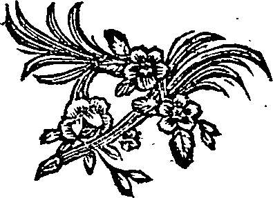 046/046840040000020_1.png