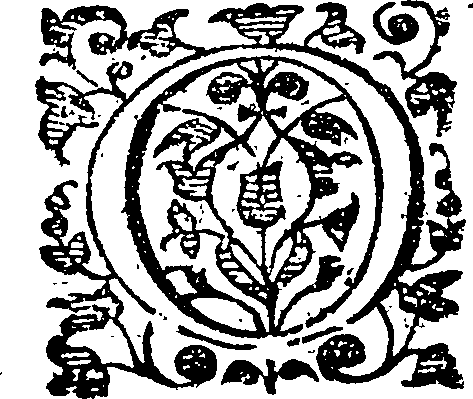 046/046940070000070_0.png