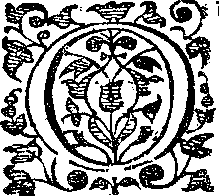 046/046940070000170_1.png