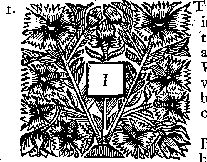 047/047280060000350_0.png
