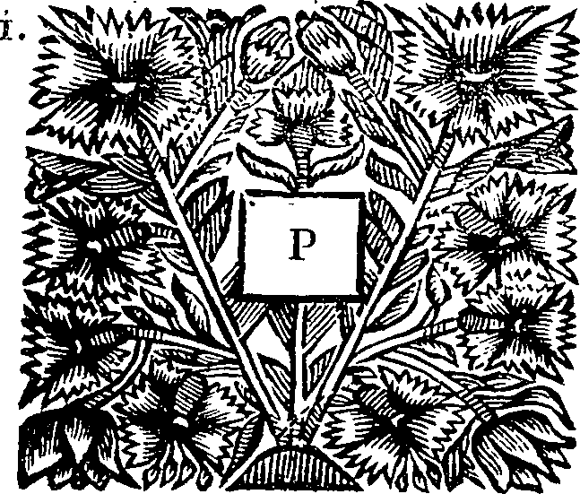 047/047280060001190_0.png
