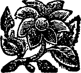047/047370010100120_0.png