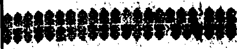 047/047380020000100_1.png