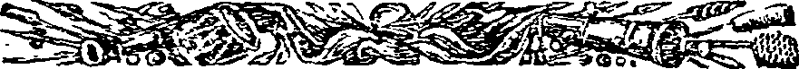 047/047390010202770_0.png