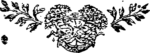 047/047390010203650_0.png