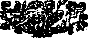 047/047390030203020_0.png