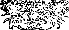 047/047390030203320_0.png