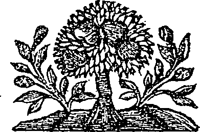047/047400090000160_0.png