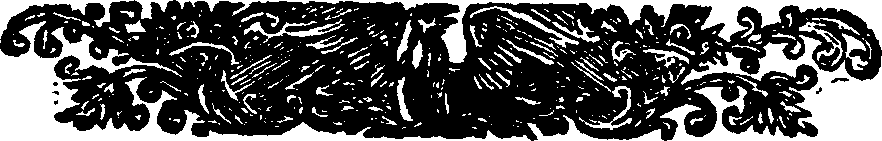 047/047410300202790_0.png