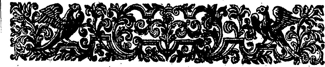 047/047550040000100_1.png
