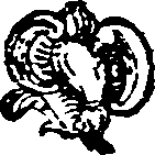 047/047720050302000_0.png
