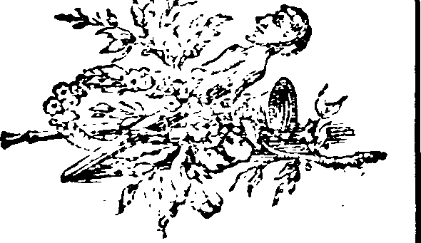 047/047720050302280_0.png