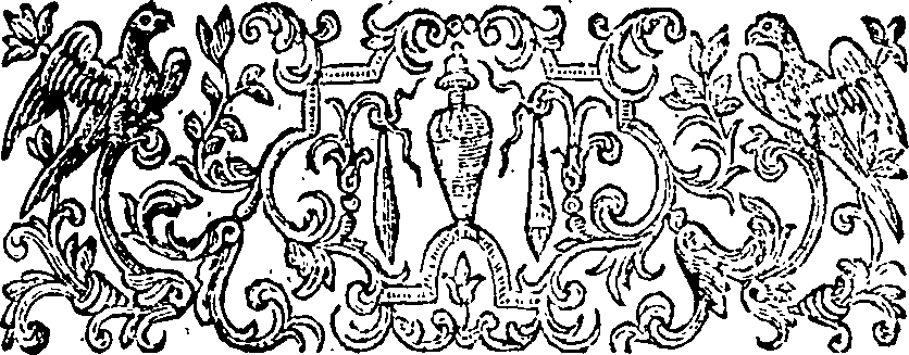 047/047850020202640_1.png