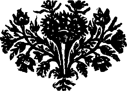 047/047880010000500_0.png