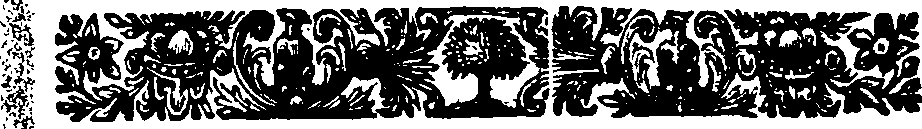 047/047880010000560_0.png