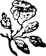048/048070040000030_0.png